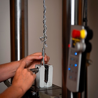 Hanka, Tomáš, Radek